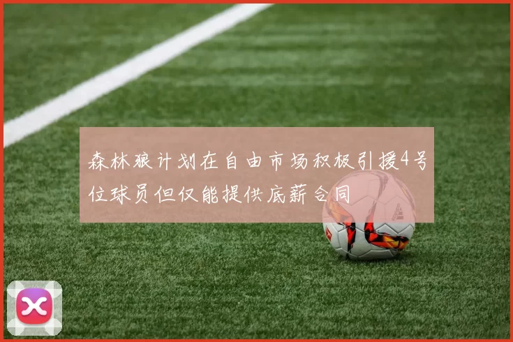 森林狼计划在自由市场积极引援4号位球员但仅能提供底薪合同